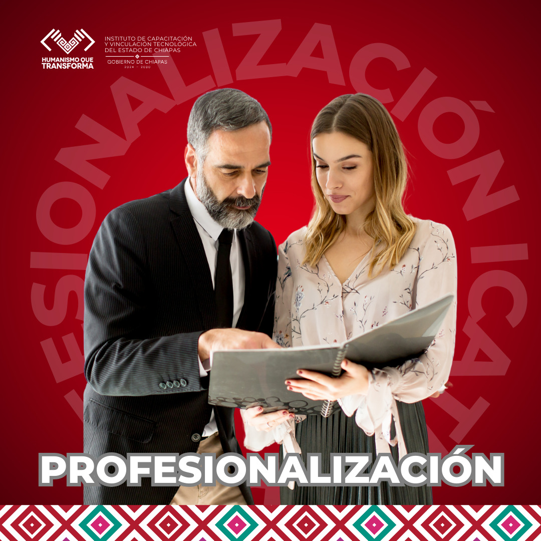 Profesionalización