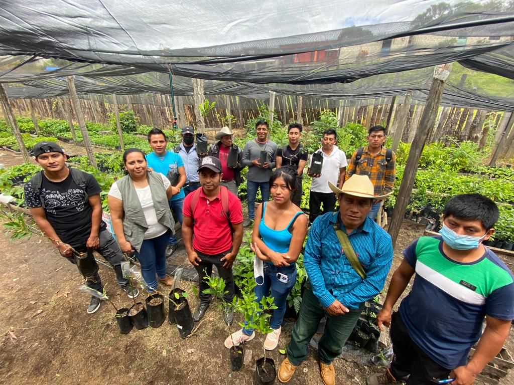Icatech pone en marcha cursos en Ocosingo y Yajalón